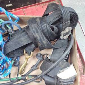 lot 138 image: Lot of 30ft Dog Tie Out and Straps, Ropes