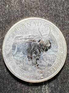 lot 37 image: 2013 CANADIAN PRONGHORN 1 TROY OZ .9999 FINE SILVER