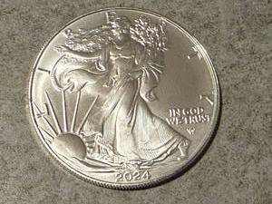 lot 12 image: 2024 Walking Liberty 1 oz Silver Coin