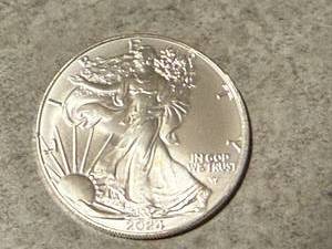 lot 13 image: 2024 Walking Liberty 1 oz Silver Coin