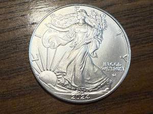 lot 60 image: 2024 Walking Liberty 1 oz Silver Coin