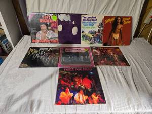 lot 163 image: Lot of Vinyl Records Featuring Little Richard, Ted Nugent, and More