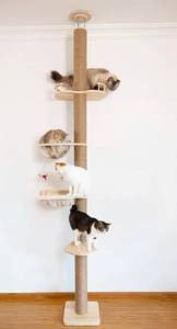 lot 191 image: Cat Tree Floor To Ceiling Adjustable Height 55 to 119 $159.99 Retail - Brand New