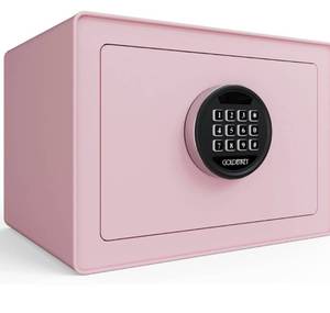 lot 211 image: Golden Key Luxury Pink Safe 9.84D x 13.78W x 9.84H,1.2 Cu.Ft. $99.99 Retail - Brand New