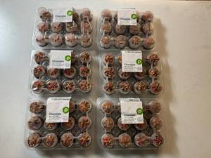 lot 254 image: CC. 6x 12ct Frozen Chocolate Mini Cupcakes-Best By 12232025