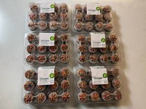 lot 258 image: CC. 6x 12ct Frozen Chocolate Mini Cupcakes-Best By 12232025