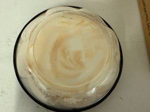 lot 279 image: DD. 3x Lemon Meringue Pies-Rocky Mountain Pies