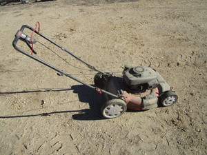 lot 55 image: Troybilt Mower