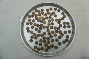 lot 5 image: 100 Ct. Wheat Pennies