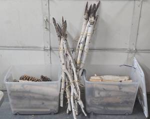 lot 158 image: Large Lot of Birch Logs & Posts