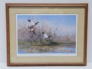 lot 309 image: Framed Signed Numbered Wildlife Duck Print by Gary Moss - Backwater Hideaway - Mallard Trio