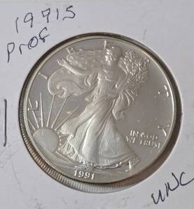lot 13 image: 1991 S   Silver Eagle - Proof Mint   1 Oz. Fine Silver