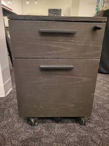 lot 169 image: A 2 Drawer Lockable File Cabinet on wheels by BDI.