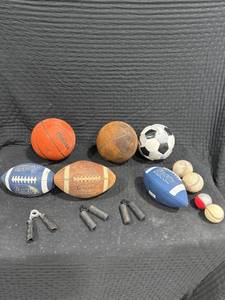 lot 0253 image: Assorted Sports Equipment Lot