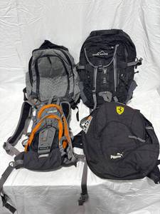 lot 0331 image: Assorted Backpacks Collection
