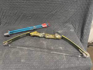 lot 0345 image: Compound Bow and Arrows