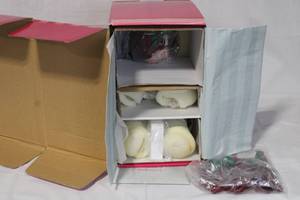 lot 38 image: Charisma Brands Poinsettia Porcelain Doll with Certificate in Original Box