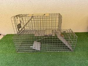 lot 88 image: Live Traps