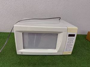 lot 255 image: GE Microwave