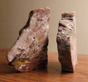 lot 361 image: Petrified Wood Book Ends