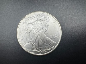 lot 27 image: 2004  1 Oz. Silver American Eagle