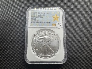 lot 19 image: 2017-W 1 Oz. Burnished Silver American Eagle NGC MS70 First Releases - Perfect Grade