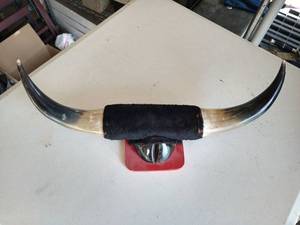 lot 59 image: Bull Horns With Hooves