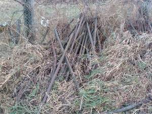 lot 31 image: Collection of Used Metal Fence Posts and Supports
