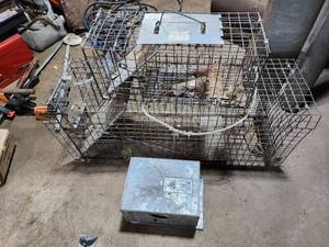 lot 132 image: Live Animal Trap Cage and Metal Bait Box