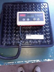 lot 88 image: Rubbermaid 4010 Digital Platform Scale 150 lb Capacity