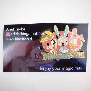 lot 255 image: Disneyland 2001 Card & Mickey Ears Pin. LE 2400