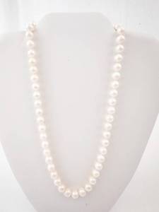 lot 6C image: Freshwater Pearl Necklace - 18 inches, White Cultured Pearls with Gold-Tone Clasp