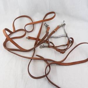 Brown Leather Horse Bridle with Bit & Reins