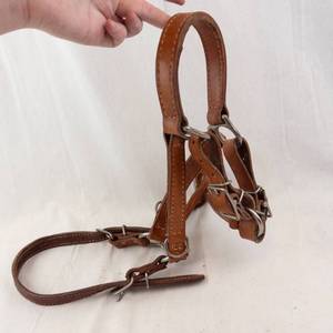 Leather Horse Bridle - Brown Leather, Adjustable Headstall, Silver Hardware