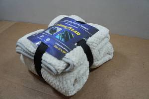 lot 174 image: Goodyear 12V Heated Blanket