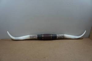 lot 254 image: Resin Texas Long Horns