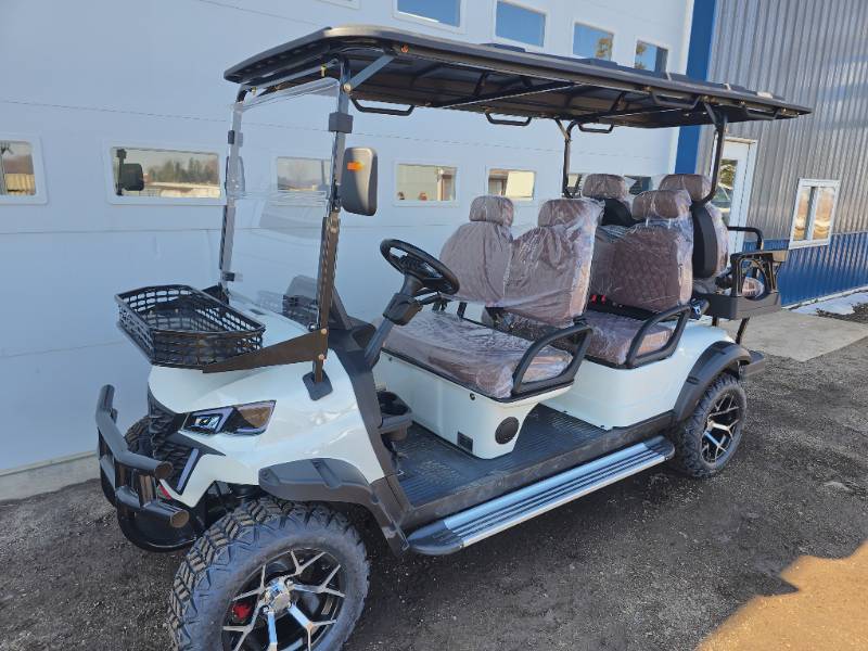 lot 2421W image: 2026 SDLANCH 6-Person Electric Golf Cart (SDLGC100)