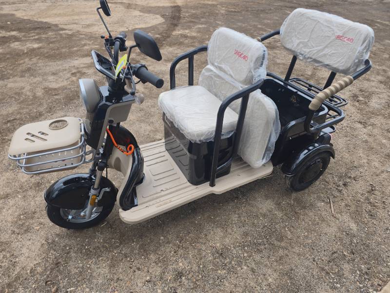 lot 2540 image: 2026 SDLANCH Electric Tricycle Mini Golf Cart (IRGC40) BLACK