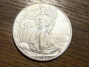 lot 1 image: 2024 Walking Liberty 1oz Silver Coin