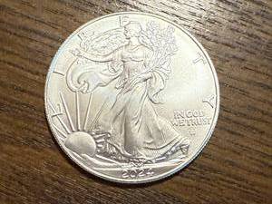 lot 2 image: 2024 Walking Liberty 1oz Silver Coin