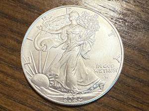 lot 36 image: 2024 Walking Liberty 1oz Silver Coin
