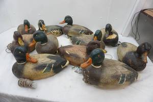 lot 199 image: Vintage Styrofoam Duck Decoys (11ct) and Caring Bag