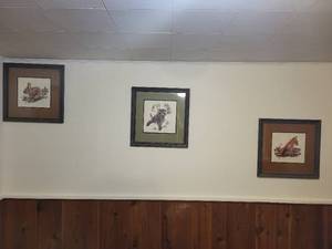 lot 260 image: Set of 3 Framed Wildlife Art Prints by Willi Waschkuhn - Raccoon, Cottontail, Red Fox