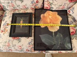 lot 185 image: Framed Art Set featuring Carrot Illustration and Yellow Rose Photograph