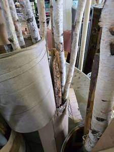 lot 53 image: Birch tree logs and lath