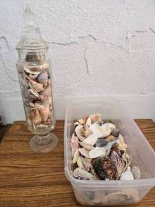 lot 65 image: Shells for Crafts
