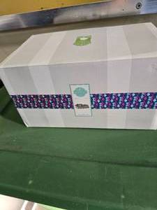 lot 83 image: NIB Scentsy Suc-cute-lent