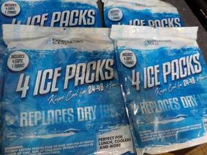 lot 15 image: Everlasting RX 4 packs 4 Ice Packs ...