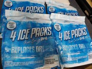 lot 16 image: Everlasting RX 4 packs 4 Ice Packs ...