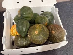 lot 259 image: Box Of Gourds